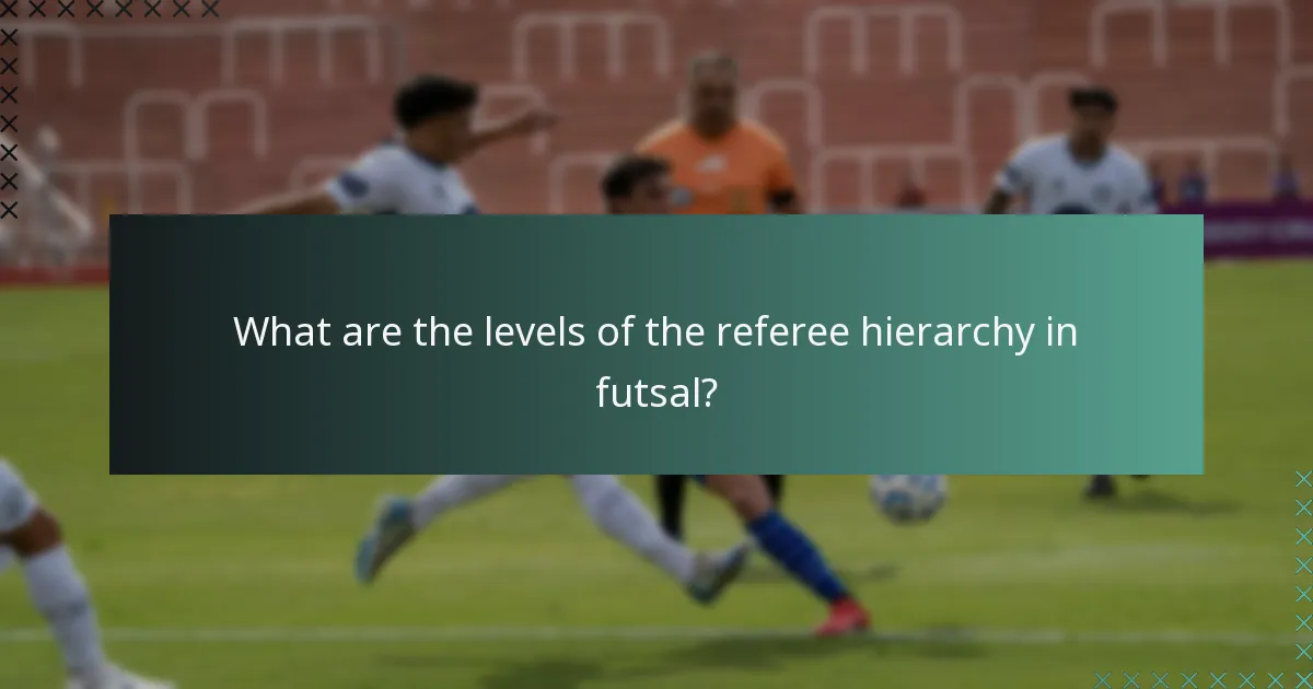 Jakie są poziomy hierarchii sędziów w futsalu?